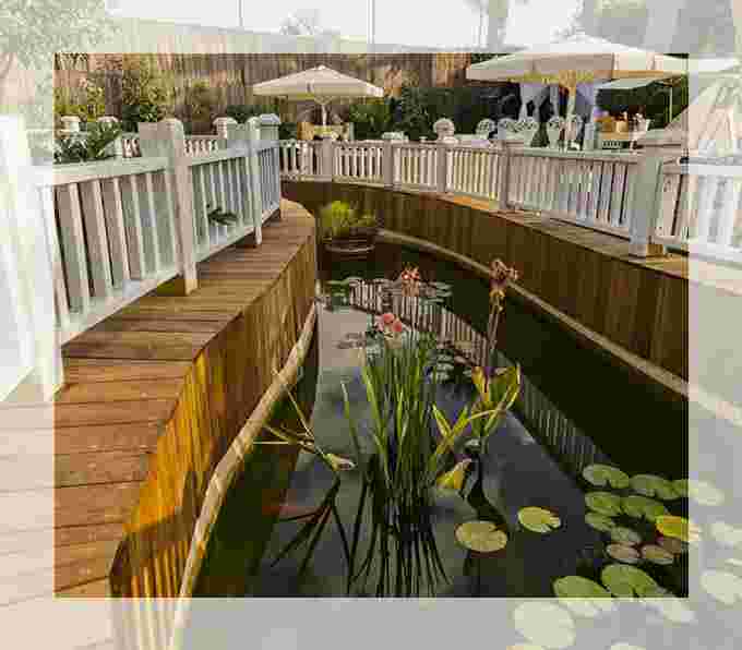 ברכת הדגים וצמחיית המים בגן האירועים