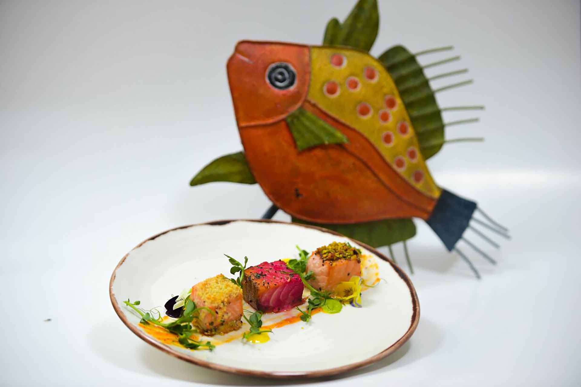 מנת דגים צבעונית