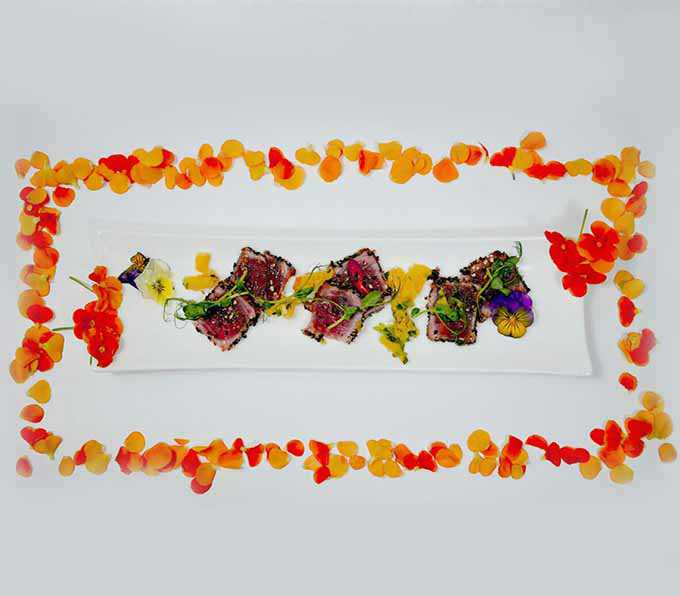 מנת פתיחה מוכנה