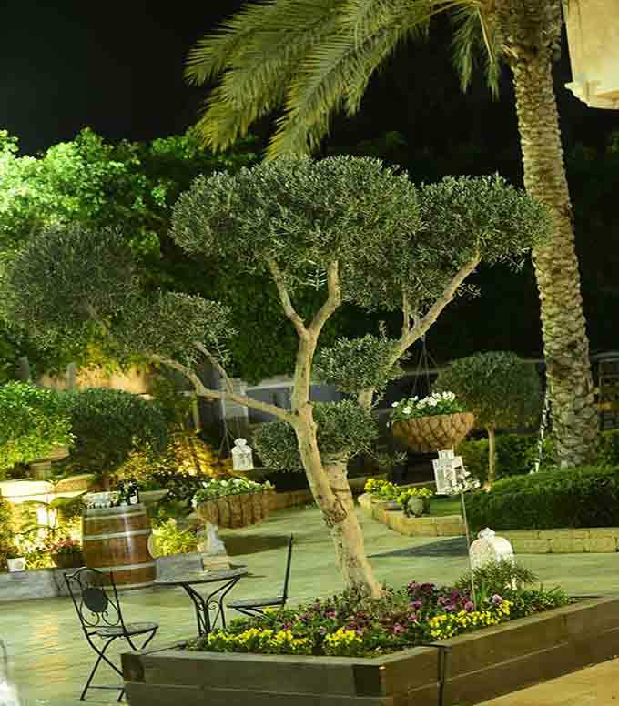 פינה ירוקה ומיוחדת בגן