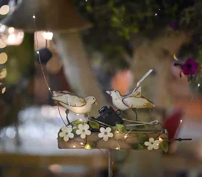 הציפורים על מגש הפרחים