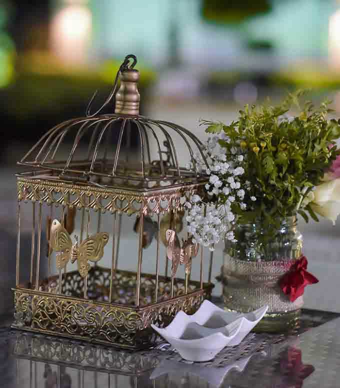 כלוב הפרפרים עם אגרטל הפרחים